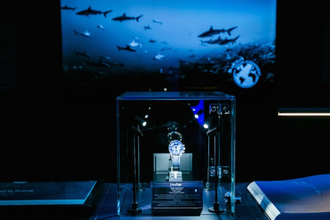 Открытие выставки Blancpain Ocean Commitment в ЦУМе
