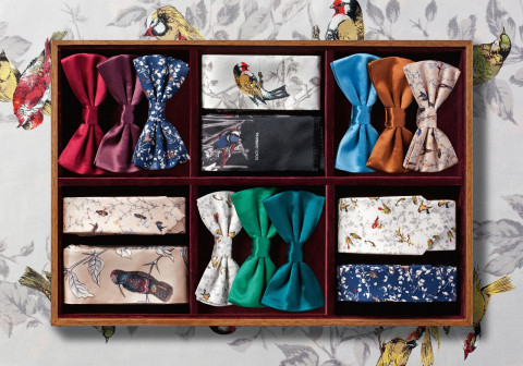 Райские птицы Dolce&Gabbana