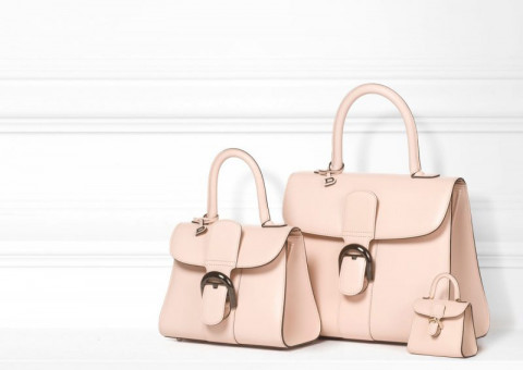 Все, что надо знать о сумке Delvaux Brillant 101